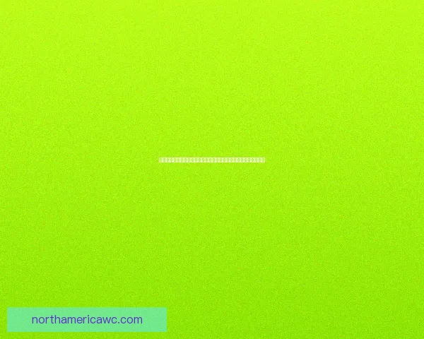 世界杯竞猜赛事直播火热开启球迷互动实时比分与精彩赛况全程追踪