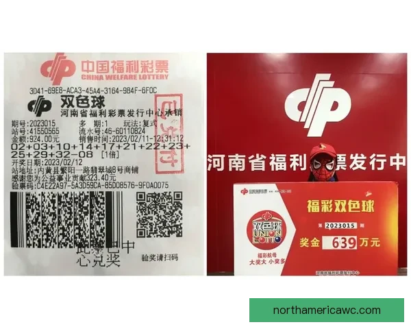 世界杯竞猜平台推荐与选择指南助你精准投注赢得大奖