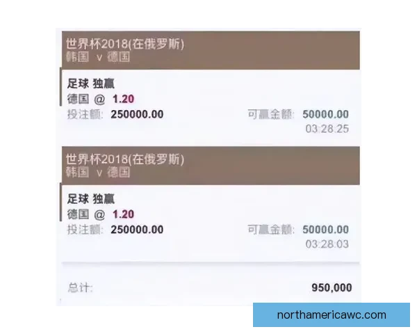 权威世界杯竞猜平台推荐助你精准投注赢大奖