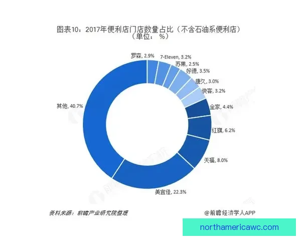 全面解析二零二六世界杯赛事格局演变与全球竞争走势全景展望