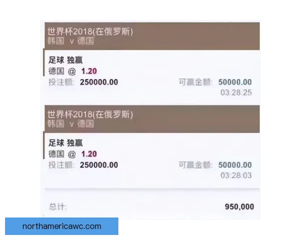 2026世界杯买球平台全面解析及热门投注选项推荐